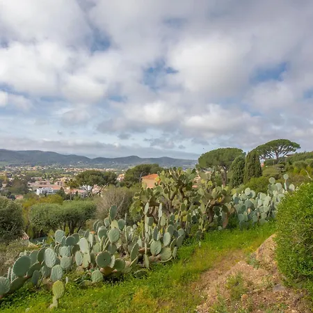 Appartement Berliat F2 N°14 *