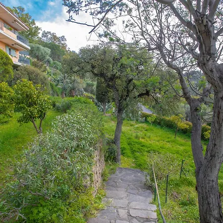 Berliat F2 N°14 Bormes-les-Mimosas